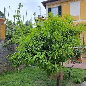 https://affittacamere-antonella.hotelitalianriviera.com